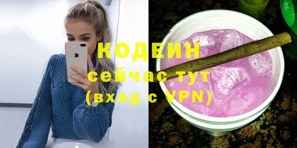 стаф Гусь-Хрустальный