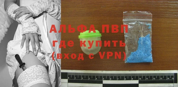 мяу мяу мука Беломорск