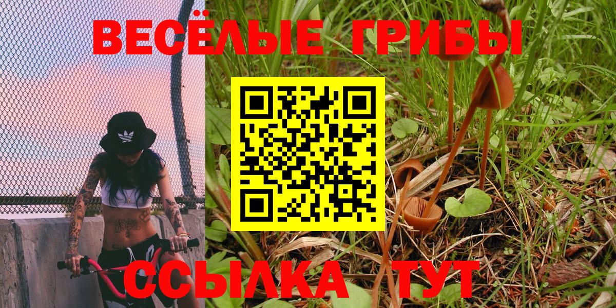 Надым  Галлюциногенные грибы Psilocybine cubensis  Вход с VPN 